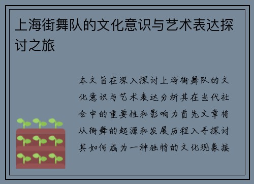 上海街舞队的文化意识与艺术表达探讨之旅